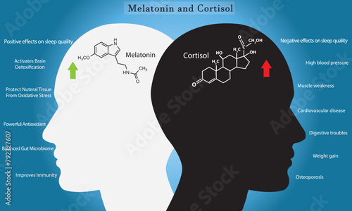 Impact of melatonin and cortisol on circadian rhythm, sleep cycle, body activities, and brain.	