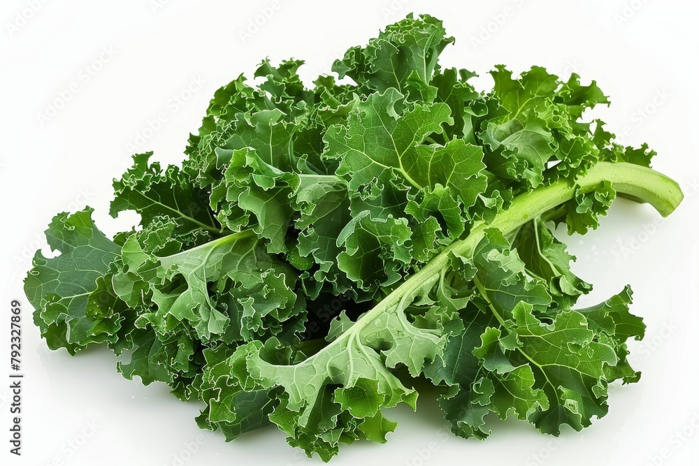 Fototapeta premium Green kale on white