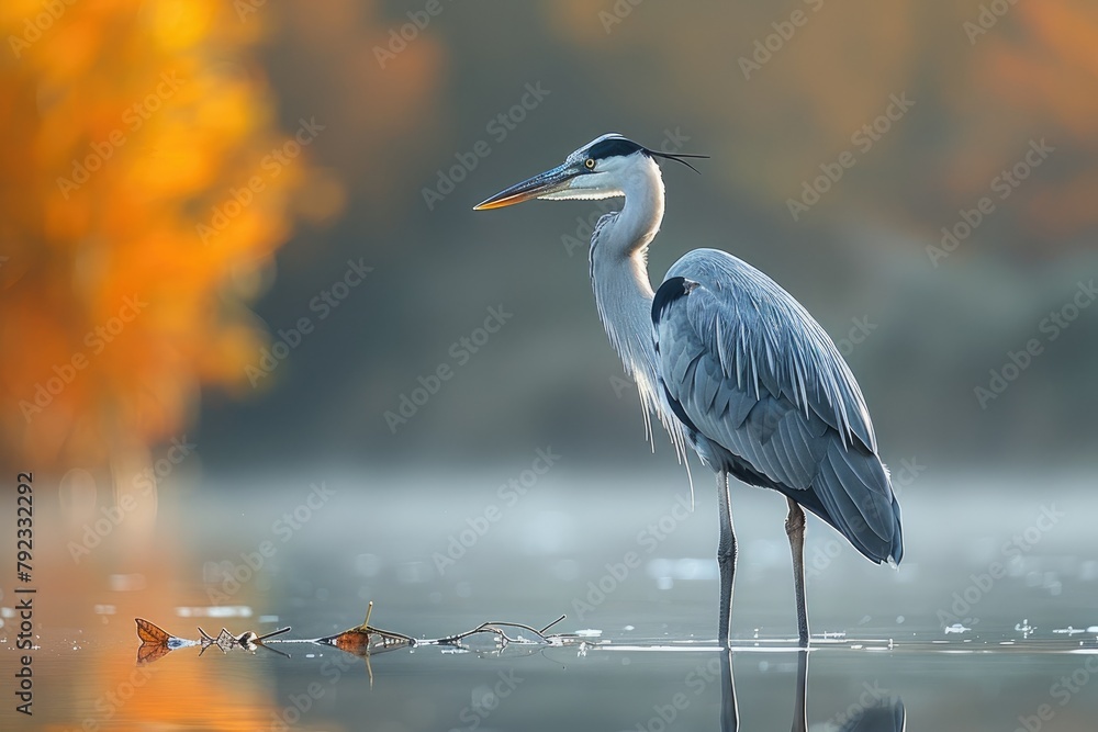 Naklejka premium A heron standing motionless at the waters edge, reflected perfectly in the lake below