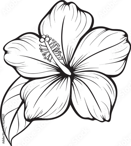 Flower vector