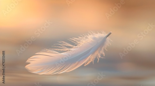 Ethereal Feather Dancing in the Gentle Breeze