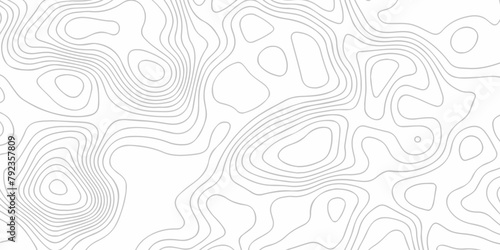 White wave paper curved reliefs abstract background. The topographic map contour in lines isolated. Abstract white topographic map background with lines. Background of the topography map.