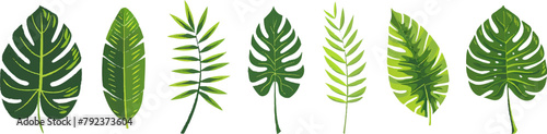 Set of vector tropical leaves and palm fronds on a white background