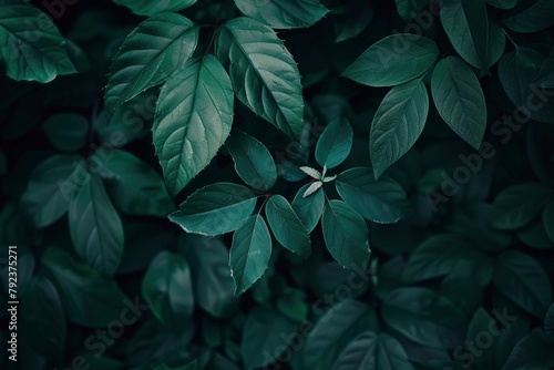 Nature of dark green leaf in garden. Natural green leaves plants using background cover page environment ecology or greenery wallpaper - generative ai
