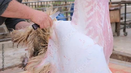 lambs meat is sold and cleaned from skin photo