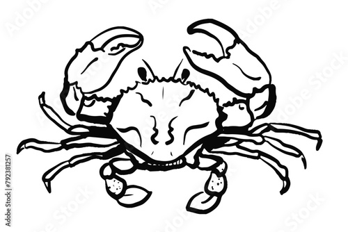 Crab in black outlines isolated on white background.Hand drawn vector illustration. Design for seafood menu, coastal decor. Marine life and cuisine concept.
