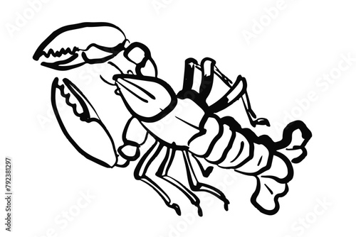 Lobster in black outlines isolated on white background.Hand drawn vector illustration. Design for seafood menu, coastal decor. Marine life and cuisine concept. 