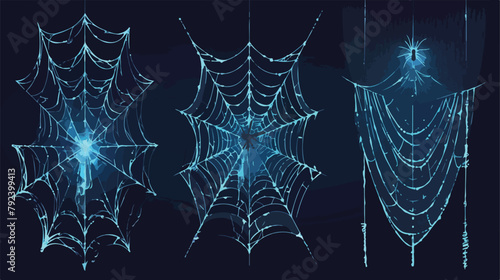 Set of different realistic vector thin Cobweb spide photo
