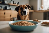 'bowl kibble dog food dry eat neb nose paw wooden tasty pecking nuzzle smell scent grunge floor meal pile canino pet animal ravenous copy space text treat'