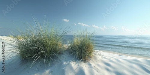 A serene 3D seascape showcases a single seagrass tuft on a sandy shore beneath a clear summer sky in minimalist style.