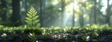 A serene 3D forest scene features a solitary fern standing out amidst rich textures and a gently blurred backdrop.