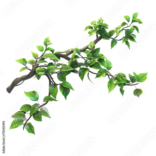 Realistic twisted jungle branch with Transparent Background