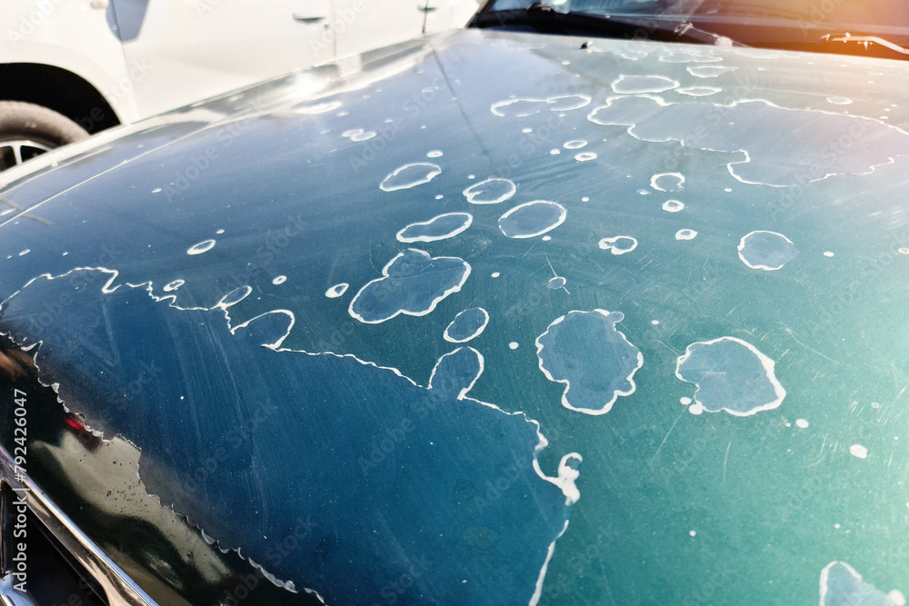 custom made wallpaper toronto digitalDamaged varnish peels off the hood of an old car, possibly the consequences of hail or poor quality paintwork products.