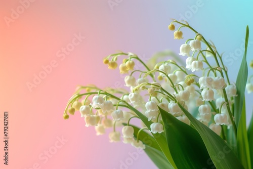 Traditionally workers unions buy an artistic lily of the valley photo on May 01 in France for labor day photo