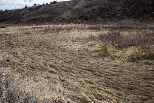 Dirt Path Through Grassy Field
