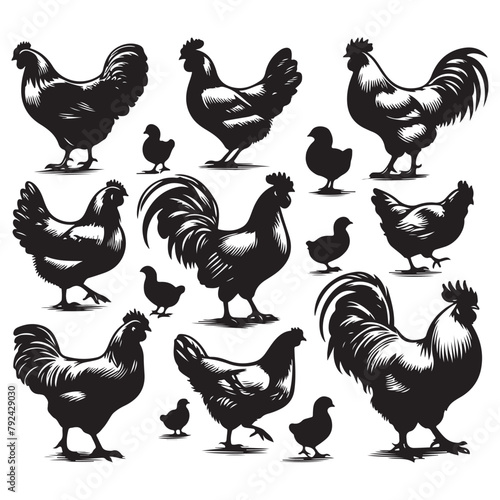 Silhouette set of chicken
