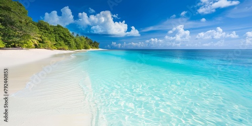 Pristine white sandy beach with crystal clear waters and tropical foliage