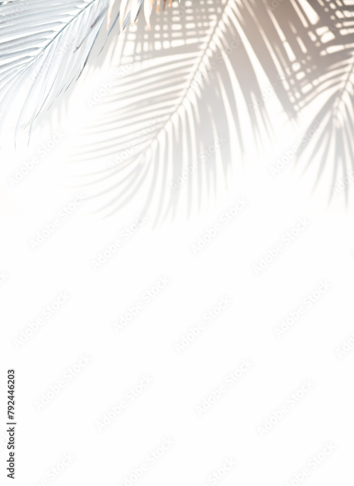Obraz premium Abstract blur of tropical leaves pattern background.luxury palm leaf design with shadow.nature concepts