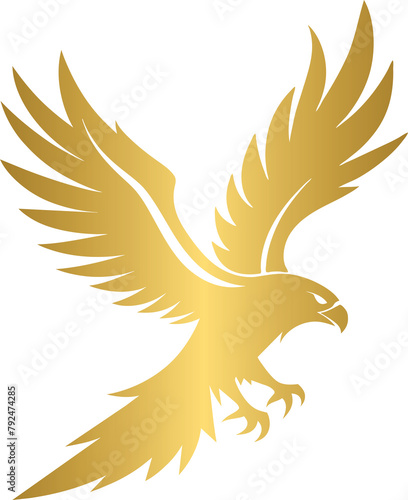 Golden eagle, gold eagle 