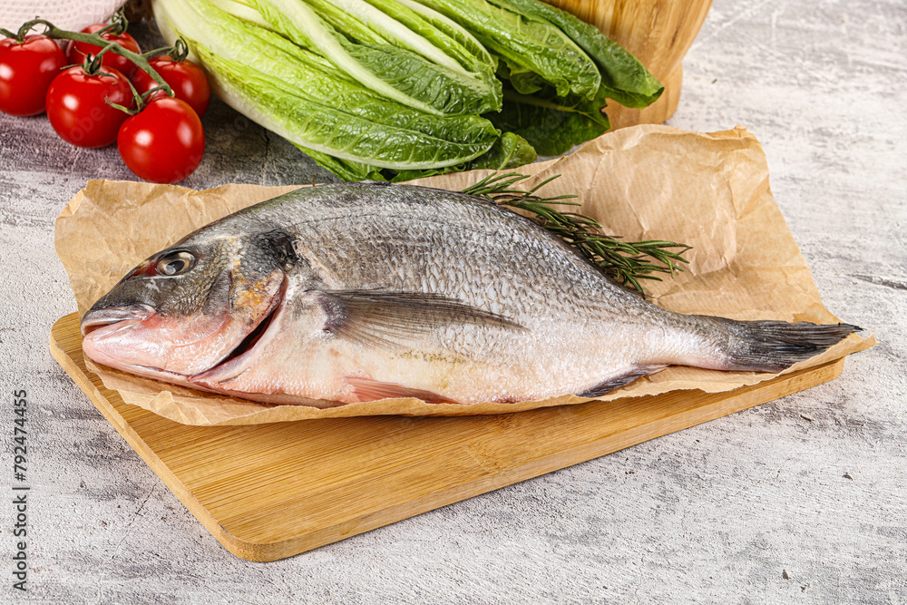 Raw dorada fish served rosemary Raw dorada fish served rosemary