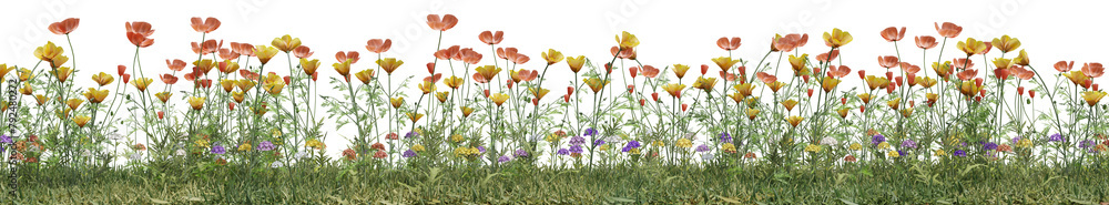 Fototapeta premium Wild flowers field, grass and meadow in nature, Tropical forest isolated on transparent background - PNG file, 3D rendering for create and design