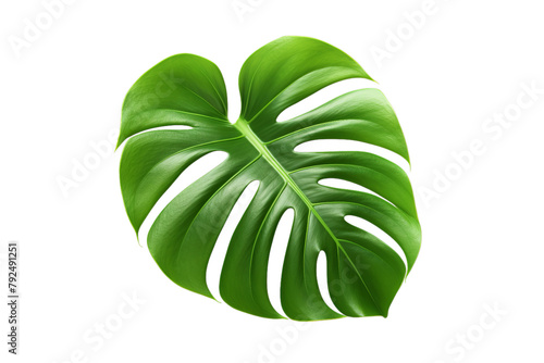 illustration of tropical monstera leaf, Isolated on transparent PNG background, Generative ai