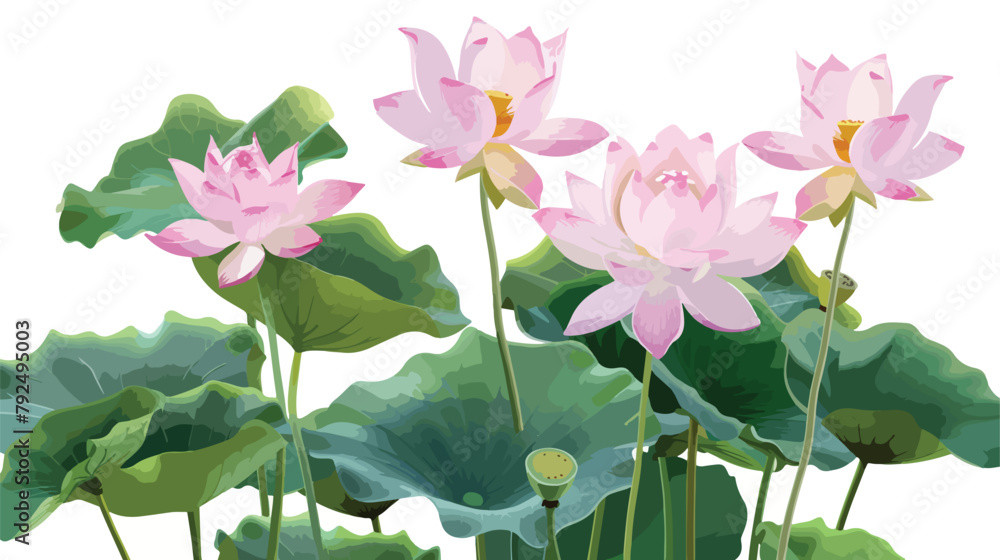 lotus flowers on a transparent background Bunch