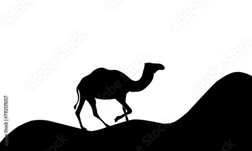 camel in desert silhouette © Condro