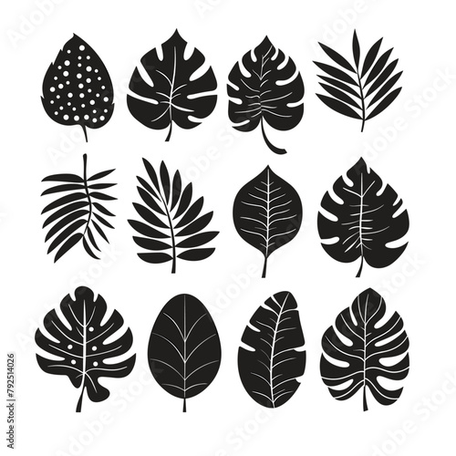 Dramatic black cutouts of tropical leaves are displayed on a pure white canvas