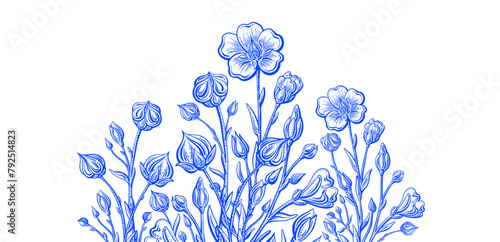 Flax flower, linen seed, farm harvest. Omega oil