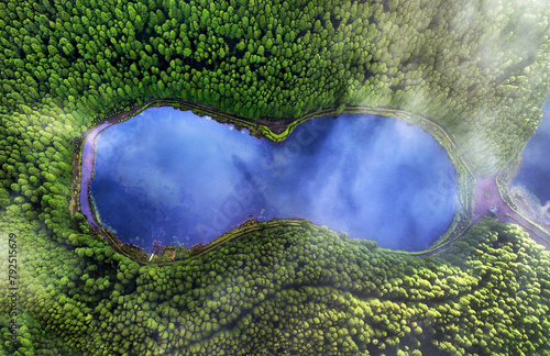 Aerial top down view of beautiful green waters of lake. Birds eye view of scenic emerald lake surrounded by pine forests. Clouds reflecting in Sao Miguel, Azores, Portugal photo
