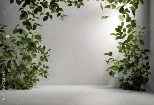 'background product splay Abstract backdrop white leaves room Empty shadows blurred presentation studio poduim shadow cosmetic leaf three-dimensional'