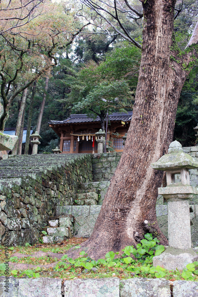 March 23 2024 Tsushima Island Travel Hachimangu Shrine Tsushima march-23-2024-tsushima-island-travel-hachimangu-shrine-tsushima