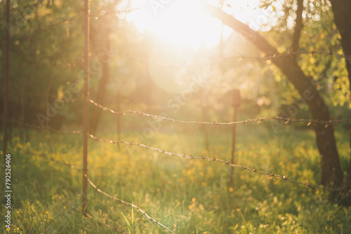 The beautiful sun shines in the garden through the barbed wire