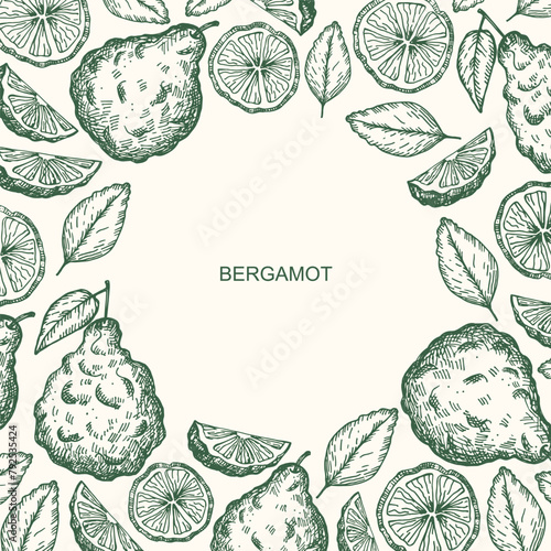 Bergamot engraved sketch border background. Hand drawn vector illustration with citrus plant. Vintage texture label with Seville orange bergamot tree fruit, leaf. Food ingredient, essential oil, herb
