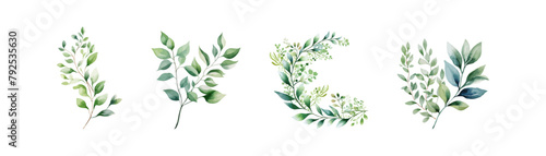 Watercolor Greenery and Foliage Branches Set. Vector illustration design.