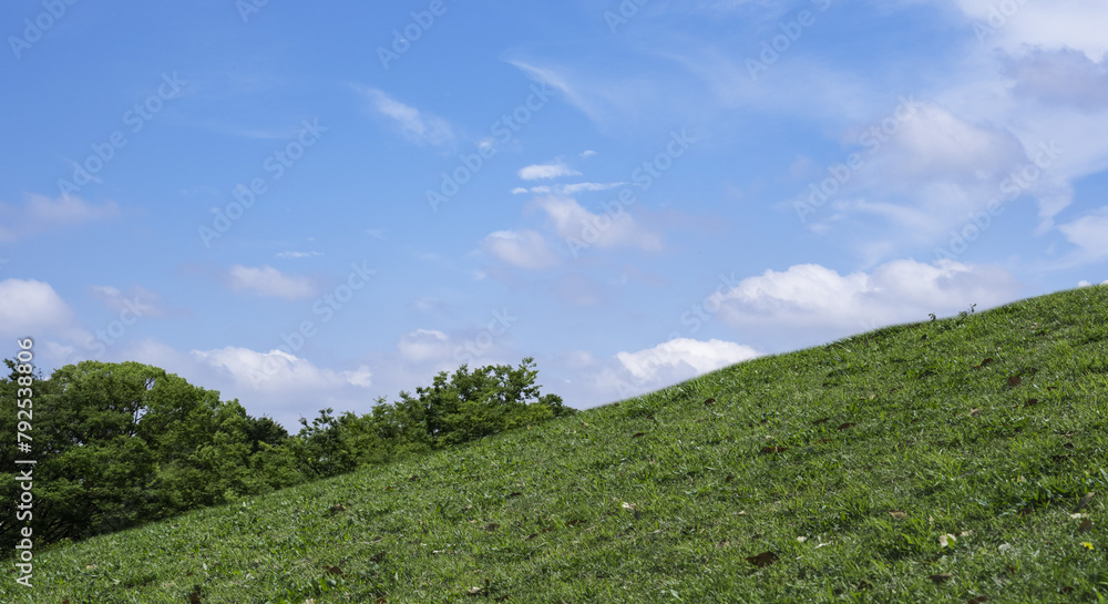 春・夏　煽りで見上げた丘・土手の野原の坂道 森の木々と夏の緑　さわやかな晴天の青空と雲の背景　アウトドア・夏休み・祝日・行楽・観光・旅行・ウォーキング・散歩のイメージ素材