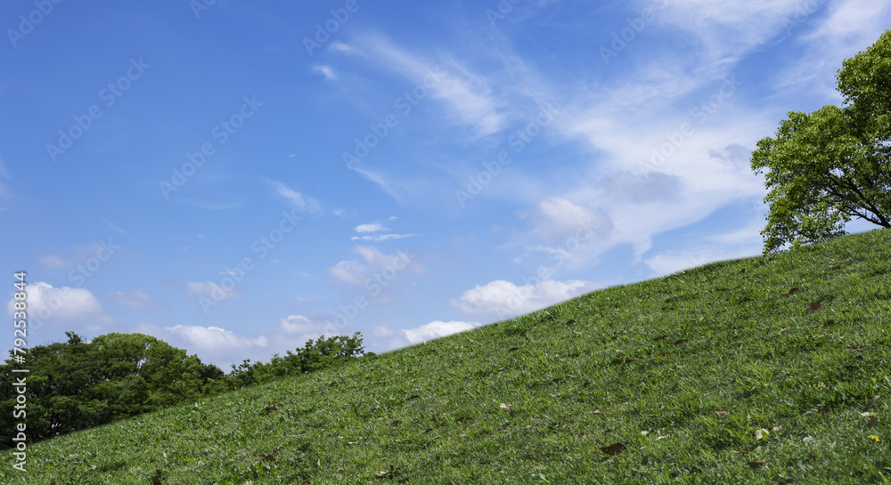春・夏　煽りで見上げた丘・土手の野原の坂道 森の木々と夏の緑　さわやかな晴天の青空と雲の背景　アウトドア・夏休み・祝日・行楽・観光・旅行・ウォーキング・散歩のイメージ素材
