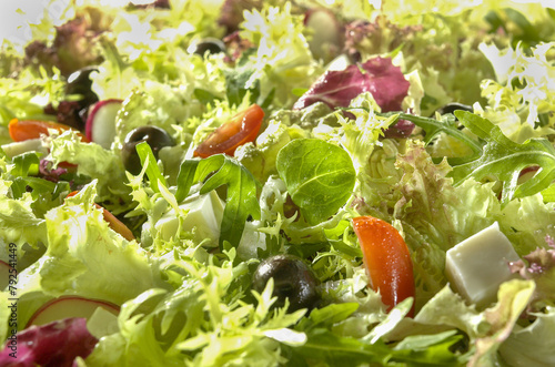 assorted salad