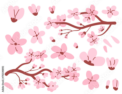 Sakura tree branch and flowers set. Floral composition. Japanese cherry blossom simple elements collection isolated on white background. Vector hand drawn illustration.