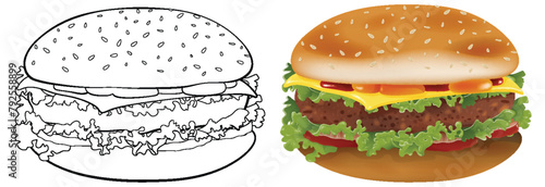 Two stages of burger illustration, sketch and colored