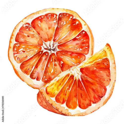 Watercolor Grapefruit Illustration. Hand-drawn fresh food design element isolated on a white background.