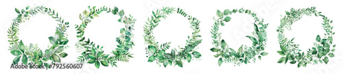 Luxury botanical frame elements on white background. A set of shapes of circles, sparkles, eucalyptus leaves, leaf branches. Elegant leaf design for wedding, card, invitation, greeting.