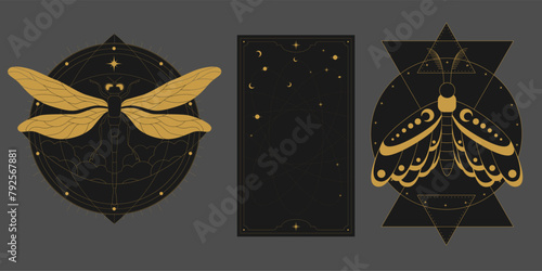 Vector mystic celestial set a with golden outline insects, moth, dragonfly, stars, crescents and moon phases. Black occult shiny linear labels with a magical frame stylized as engraving