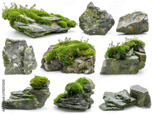 Set di rocce coperte di muschio in ambienti naturali, ritagliato, sfondo bianco photo