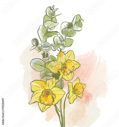 Oil painting abstract bouquet of narcissus and eucalyptus. Hand painted floral composition of wildflower isolated on white background. Holiday Illustration for design, print, fabric or background.