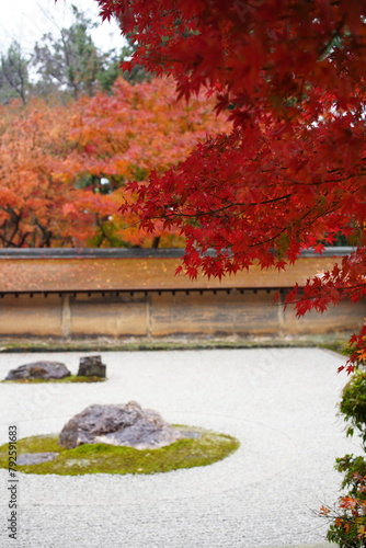 日本の京都　龍安寺の秋の風景