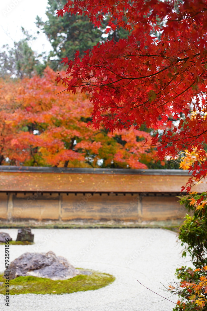 日本の京都　龍安寺の秋の風景