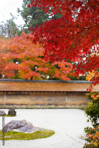 日本の京都 龍安寺の秋の風景