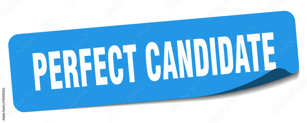 perfect candidate sticker. perfect candidate label perfect candidate sticker. perfect candidate label